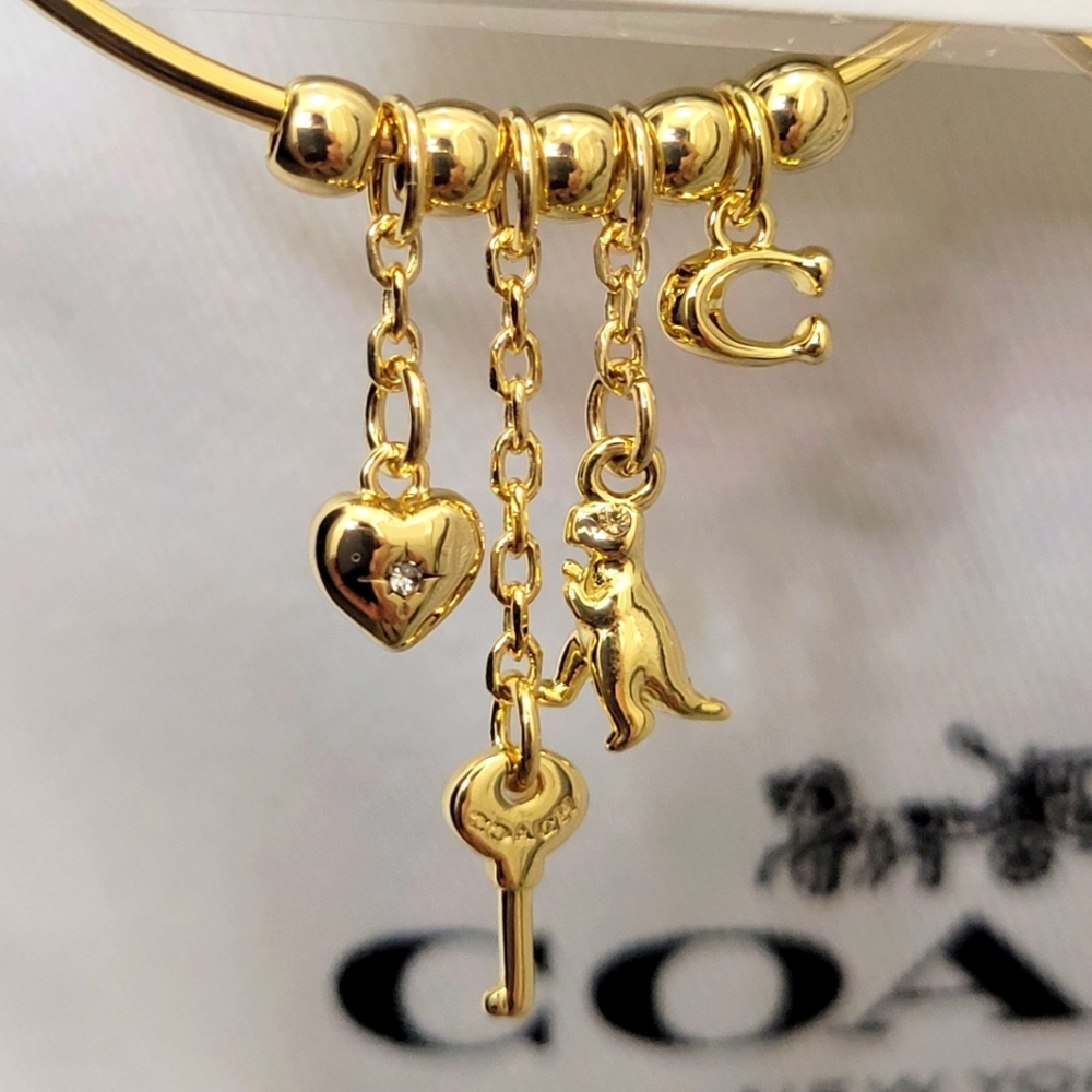 ⚘️Coach Iconic Mix Charms 2" Hoop Earrings - Picture 11 of 13